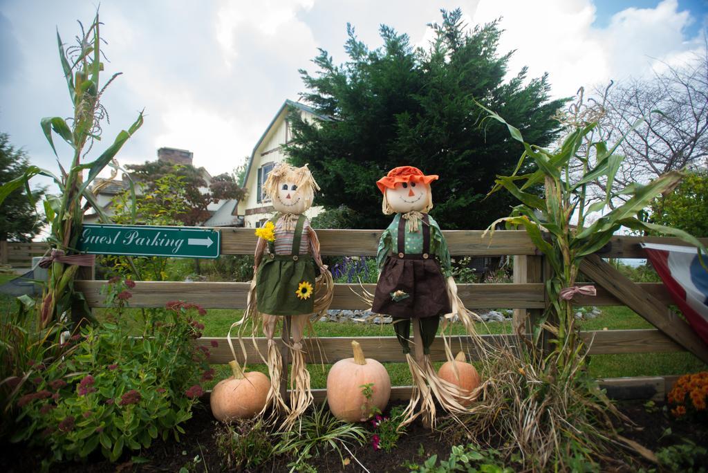 Antietam Overlook Farm Rohrersville Екстериор снимка